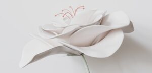 A single white flower with a stem sticking out of it